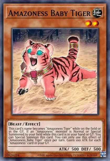 Amazoness Baby Tiger | How to obtain, Decks & Usage Statistics | Duel Links  Meta