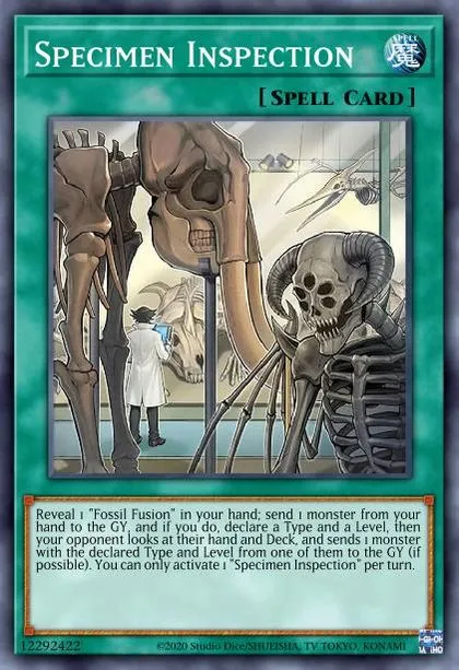 yugioh jim crocodile deck Amazon.com: Complete Custom Deck for Yu-Gi-Oh! GX main image 0