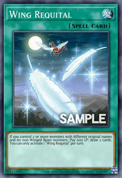 Introduction to Raidraptor (2025) | Master Duel Meta