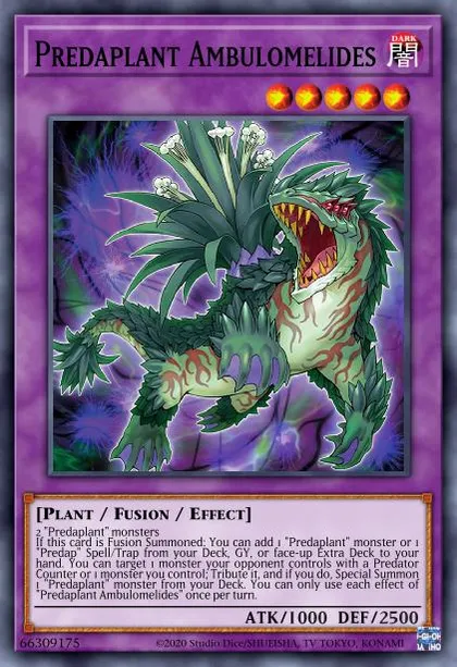Predaplant Deck Breakdown | Guides, Decks & Tournament Usage Statistics |  Yu-Gi-Oh! Meta