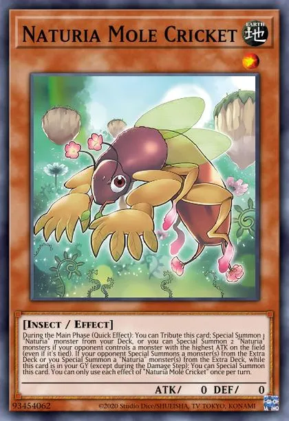 Vernusylph Deck Breakdown | Guides, Decks & Tournament Usage Statistics |  Yu-Gi-Oh! Meta