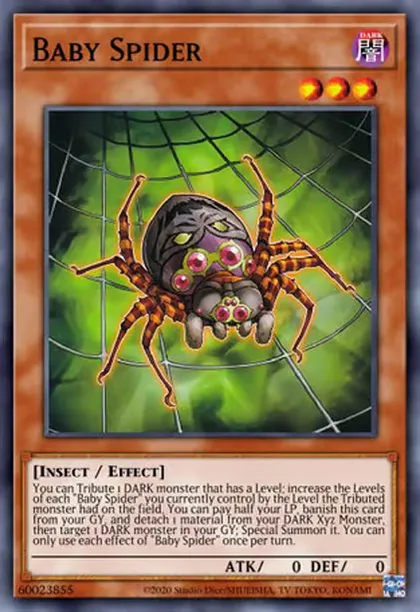 Spider OTK - Legend Anthology | Master Duel Meta