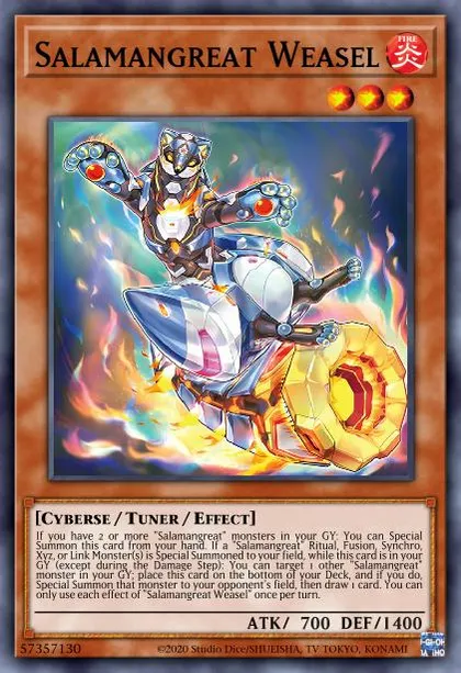 salad | Master Duel Meta