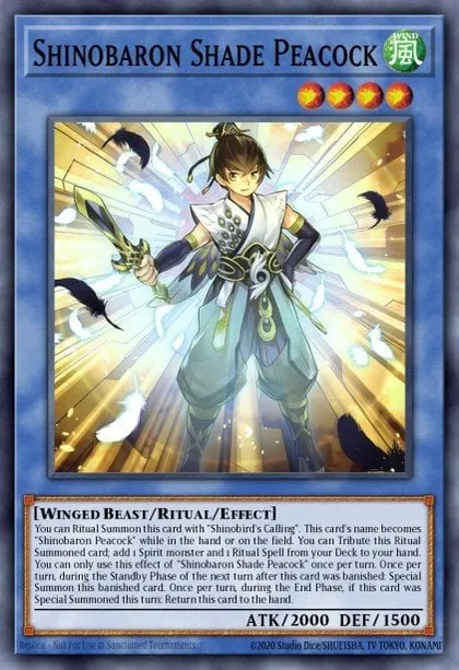 Noah Kaiba | How to Unlock, Decks, Skills & Rewards | Duel Links Meta