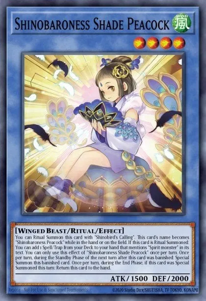 card sleeves dragon shield Dragon Shield - Sapphire