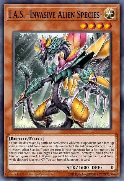 yugioh master duel reptile deck Complete Custom for Yu-Gi-Oh! 5D's yugioh reptile cards Ragnaraika Armored