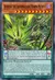 Jupredo the Shademachine Power Patron