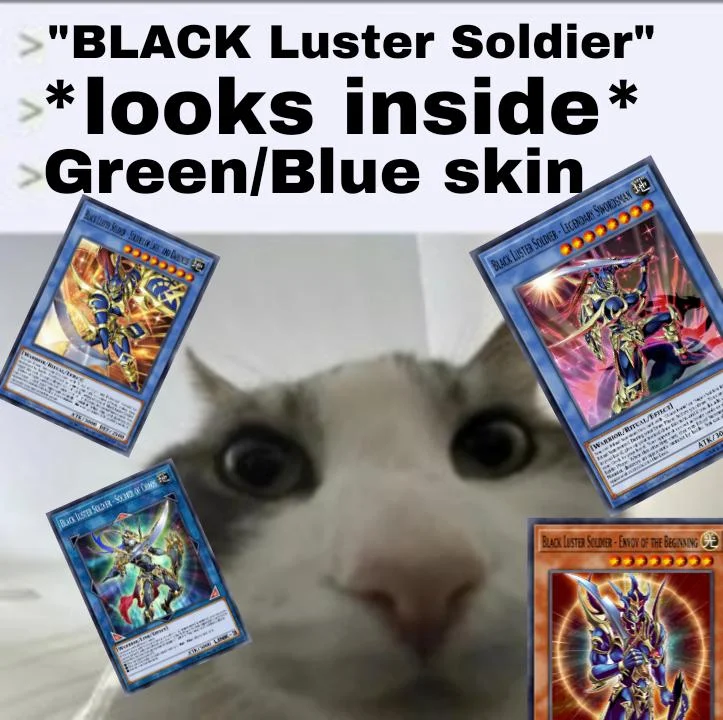 world of prophecy yugioh deck Amazon.com: YuGiOh 5D's Ancient Prophecy SE Special Edition Pack [Random  Promo Card] : Toys & Games main image 0