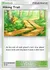 Hiking Trail