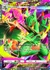 Mega Sceptile ex